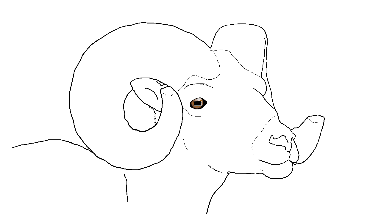Nag a Ram home page logo